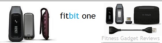 FitBit One Review